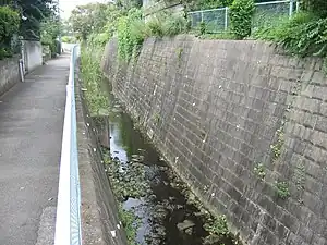 大場川 2006年8月24日撮影