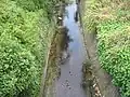 大場川下流