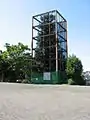 大場かやの木公園のカヤ。樹齢600年、高さ18m。