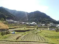 日根荘大木
