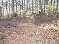 大滝山頂上