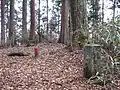 頂上