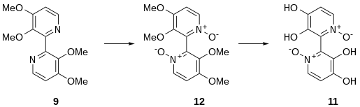 This scheme shows another alternative route for the synthesis of orellanine done by Tiecco, M., et al. in 1985.