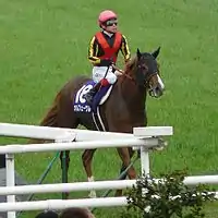 レース後、引揚げるオルフェーヴル