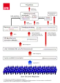 2007年 組織図