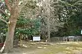 境内林（福岡県指定天然記念物）