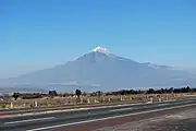 オリサバメキシコ