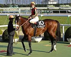 オーロマイスター（2005年産）