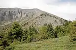 東から見た山頂