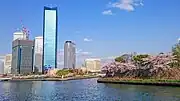 寝屋川の対岸から見たビル群と大阪城公園の桜（2017年）