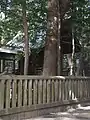 本殿