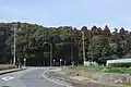 社叢