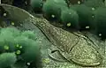 デジタル復元像