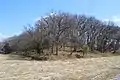 前方部