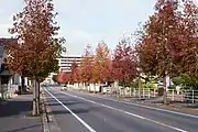 佐賀市東佐賀町の市道に転用された区間