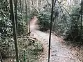 東側登山道（2019年2月）