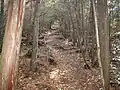 大田の小径の山道