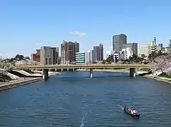 岡崎市(中核市)
