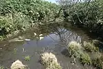 山名の由来となっている麓の農民により雨乞い登崇が行われていた山頂にある池(大峠ノ沢)