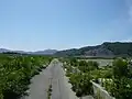 2013年6月1日、大槌町中心部から海岸部の防潮堤を眺めたところ。かつてここには家屋が立ち並んでいた。