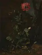 『ケシの花、昆虫、爬虫類』(1670年頃)