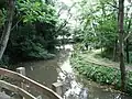 逢瀬川旧河道跡三日月湖になっている(2007年7月)