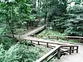公園木道(2007年7月)