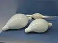 ウミウサギガイ Ovula ovum(手前)とツマベニヒガイ Volva volva(奥)