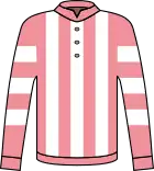 ビッグの勝負服
