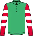 アールエスエーカントリの勝負服