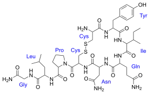 オキシトシン