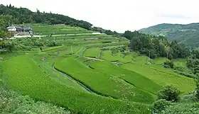 小山の棚田