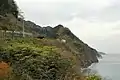 親不知