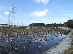 生実池