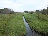 両池へ流入する準用河川生実川