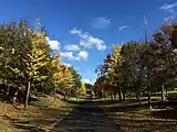 秋の道（四季の道）