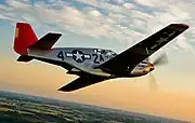 C型の後部（Red Tail Projectで復元されたタスキーギ・エアメン仕様のN61429）