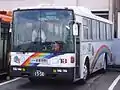 一般路線車（虹の郷タイアップ色）中伊豆東海バス時代