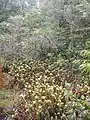 生育環境