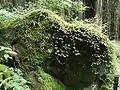 隠石