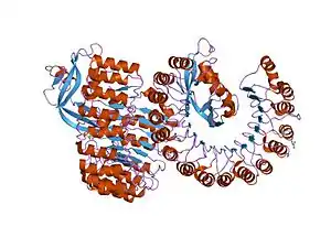 ヒト好酸球由来ニューロトキシン（英語版）との複合体