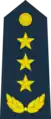 空軍上将肩章