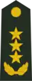 上将肩章