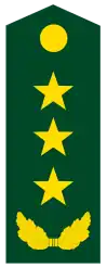 上将