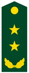 中国人民解放軍陸軍