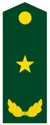 少将