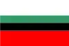Dąbrowa Górniczaの旗