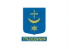 Trzebiniaの旗