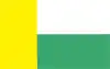 Zielona Góraの旗