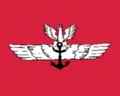 ?海軍航空隊の旗(1920年~1928年)